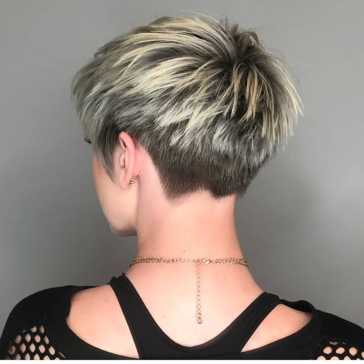 Пикси Боб асимметрия затылок