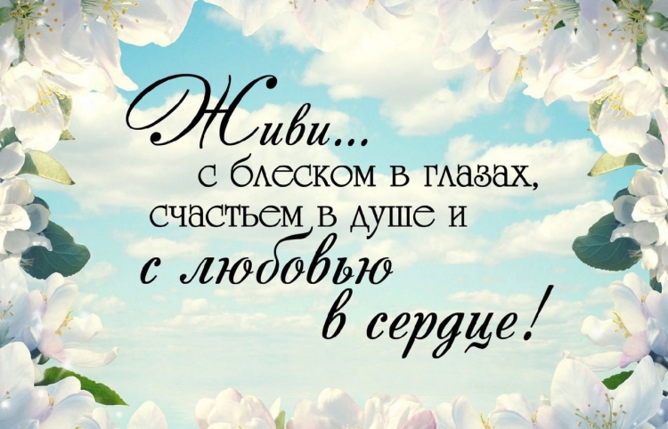 Цитаты поздравления с днем рождения