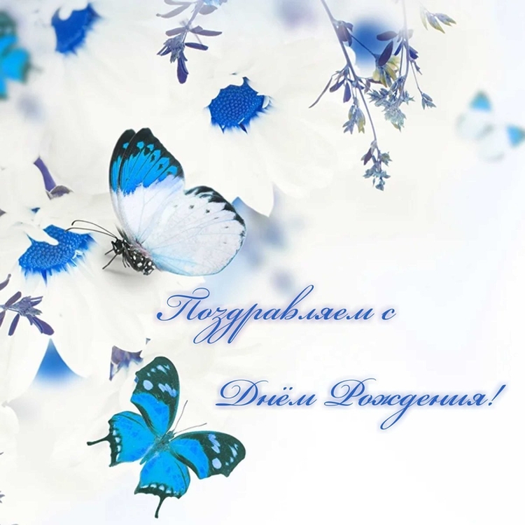 С юбилеем Елена Владимировна