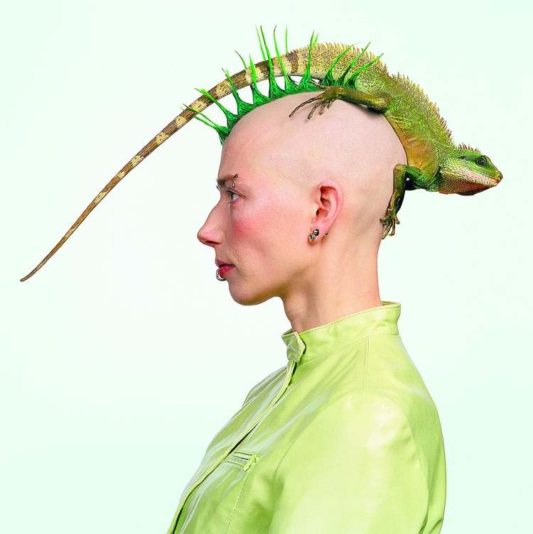 Смешные прически