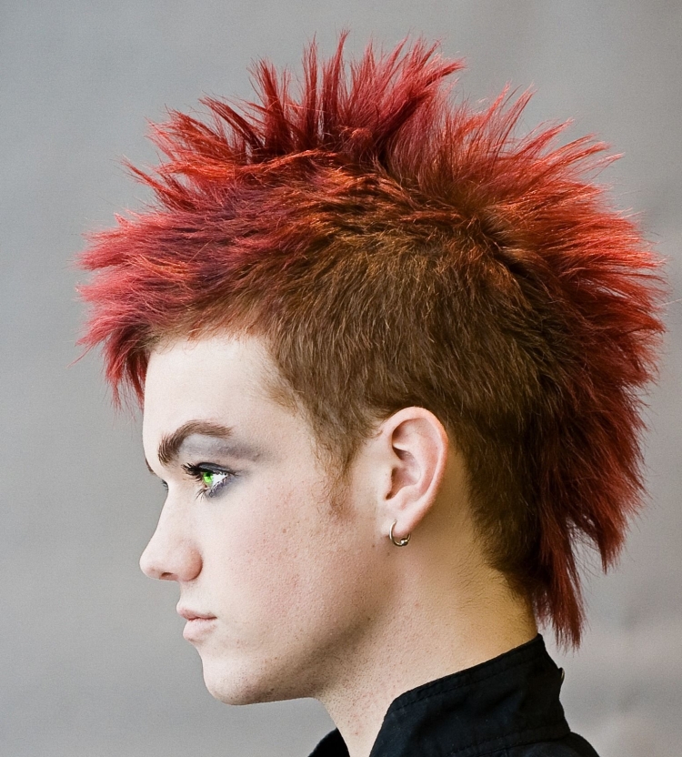 Панковский Хайер