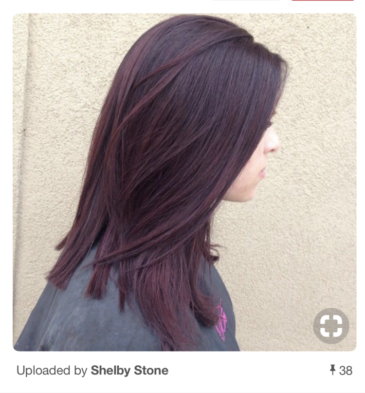 Каштановый с фиолетовым Отт