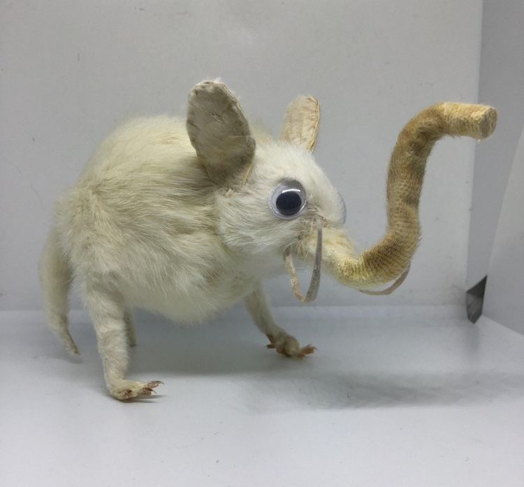 Мышь с прической