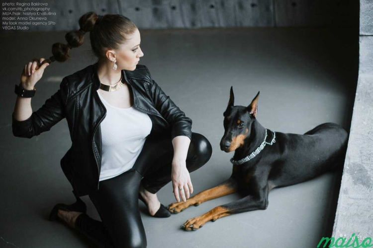 Фотосет с доберманом в студии