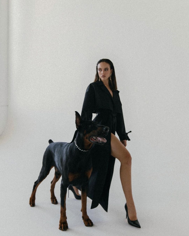 Доберман в студии