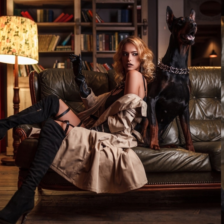 Фотосессия с доберманом в студии образы