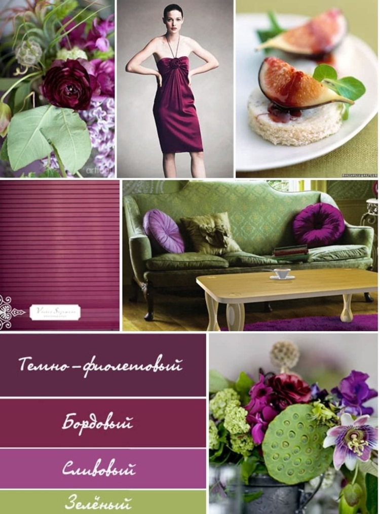 Сочетание цветов сливовый в интерьере