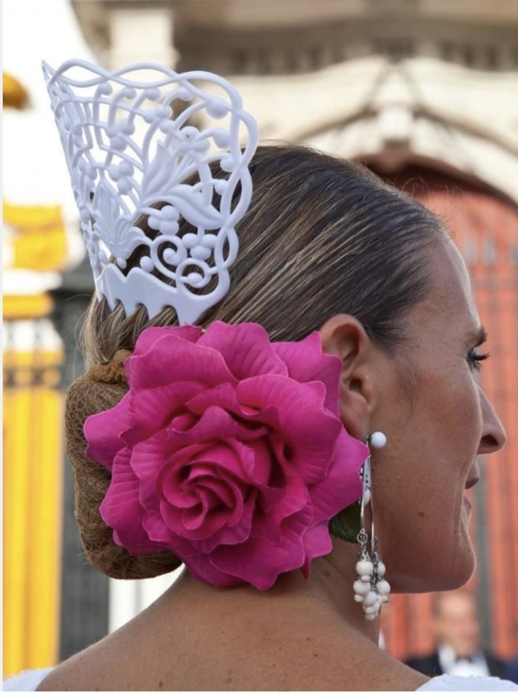 Пейнета гребень фламенко