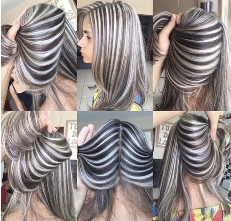 Мелирование Зебра 2022