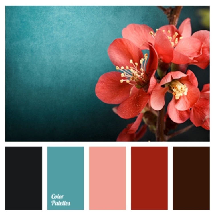 Color Balance цветовая палитра Bordo