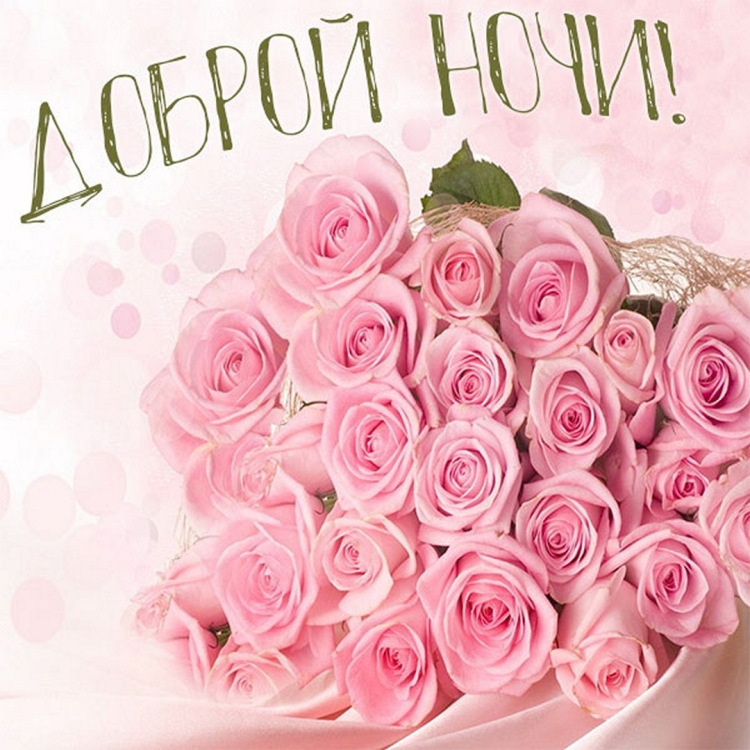 Открытки с днём рождения розы