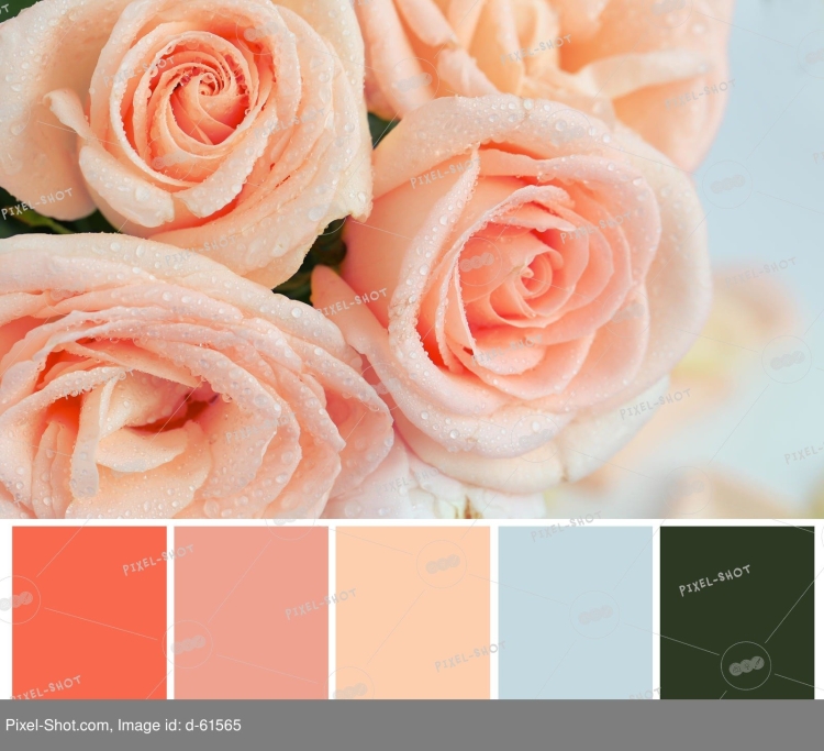 Лососевый цвет палитра