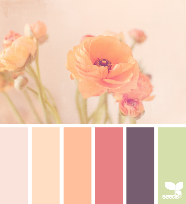 Палитра нежных цветов