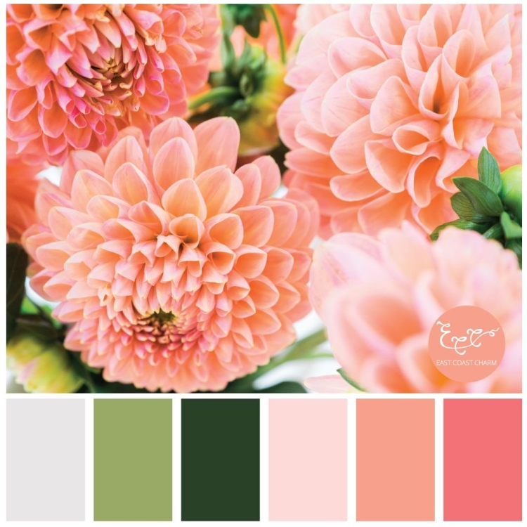 Цвет Apricot Peach