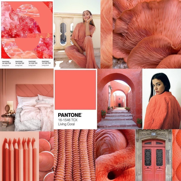 Pantone 16-1546 живой коралл / Living Coral (2019)