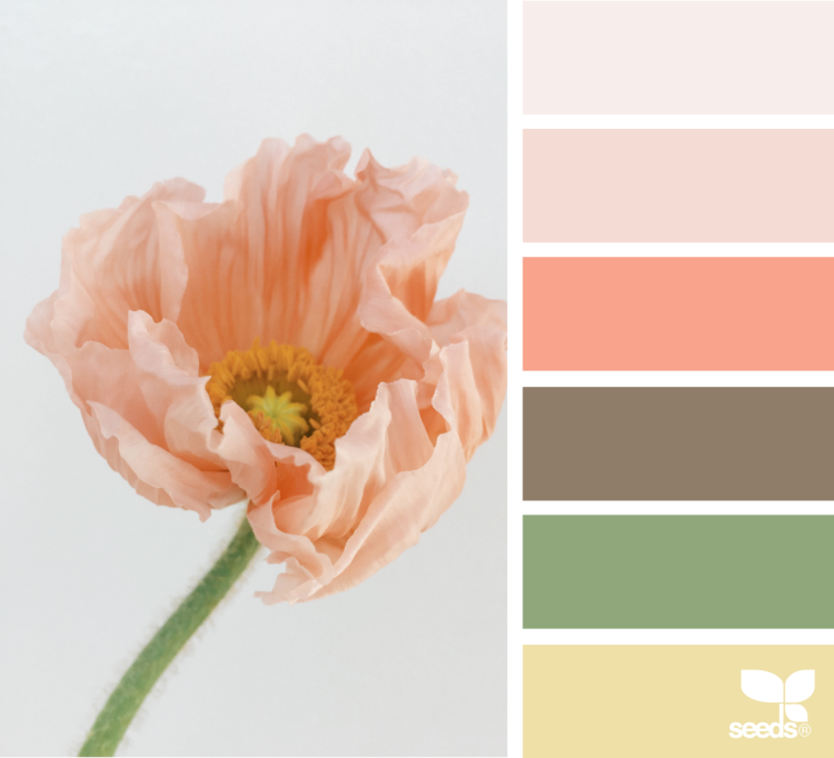 Сочетание палитра пантон