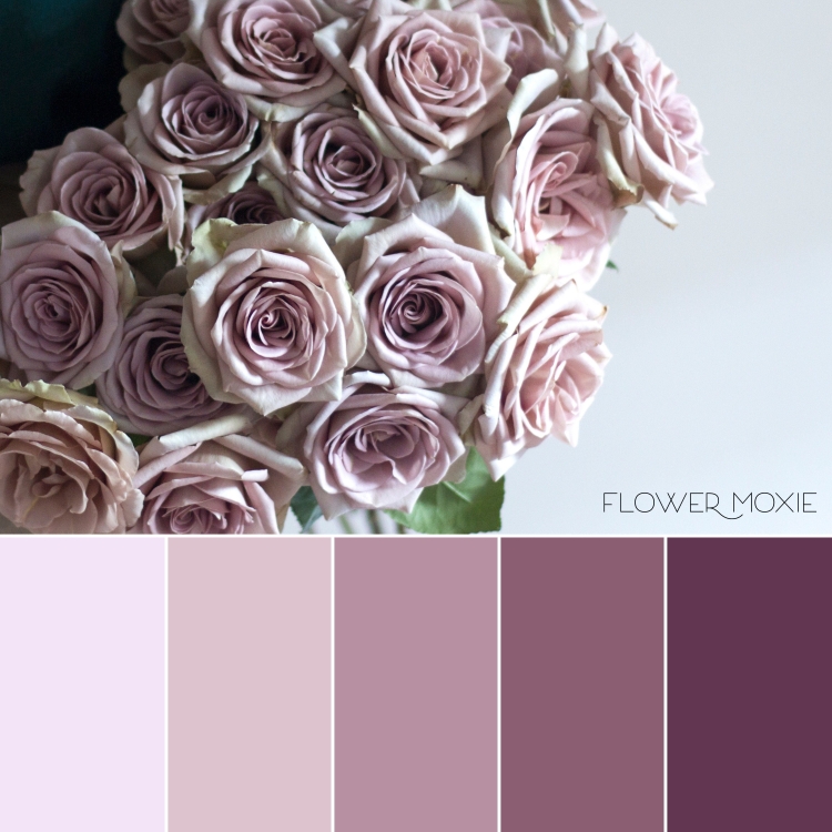 Пыльная роза пудровый оттенок