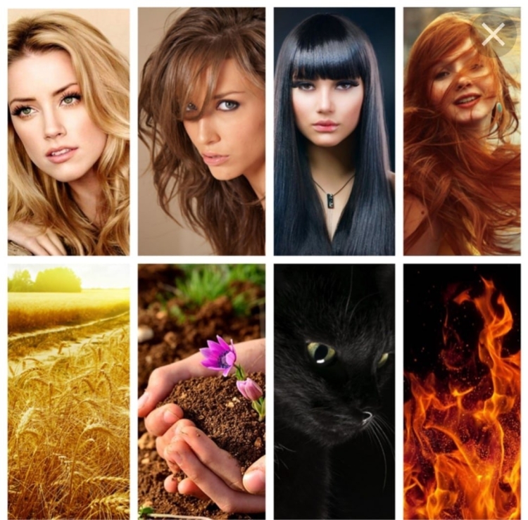 Блондинка брюнетка и шатенка