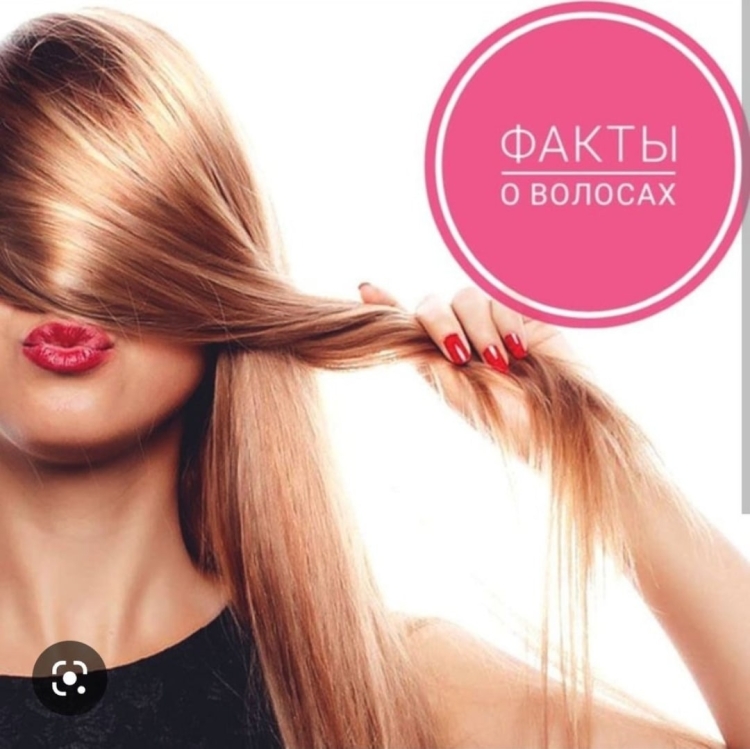 Факты о волосах