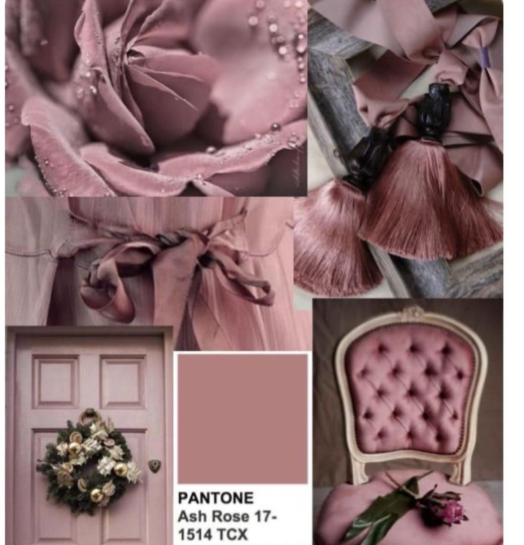 Ash Rose Pantone 17-1514