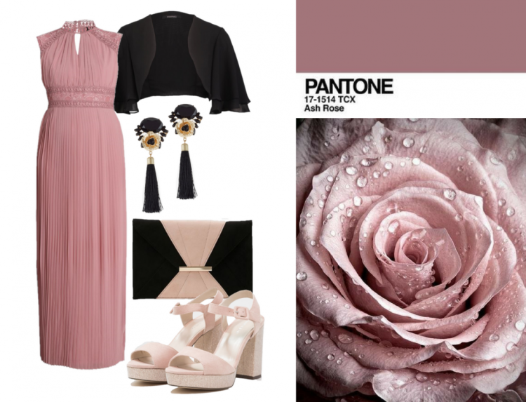 Пепельная роза пантон