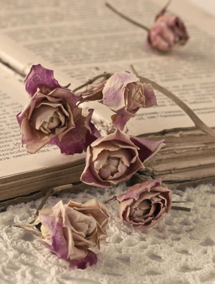 Увядший цветок