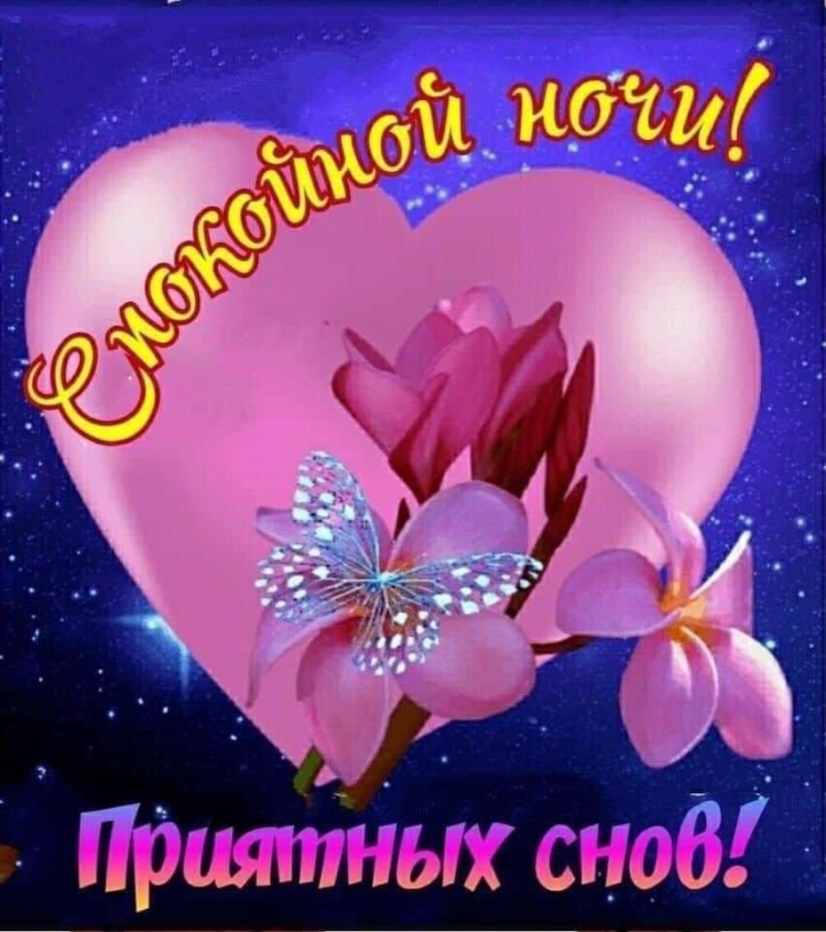 Спокойной ночи сладких снов