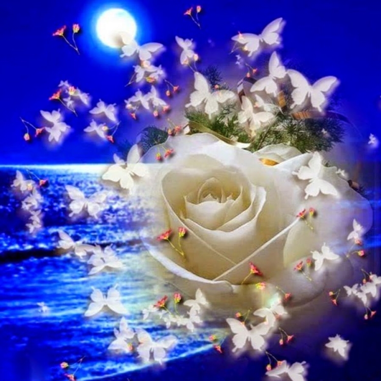 Спокойной ночи с белыми розами