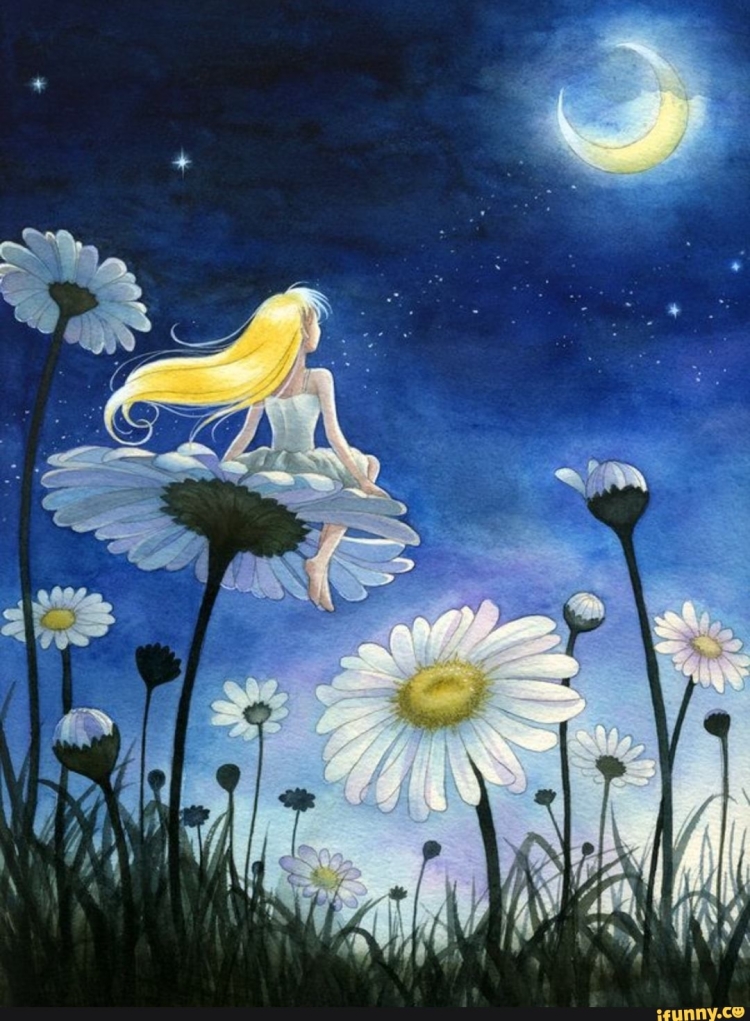 Ромашка Луна