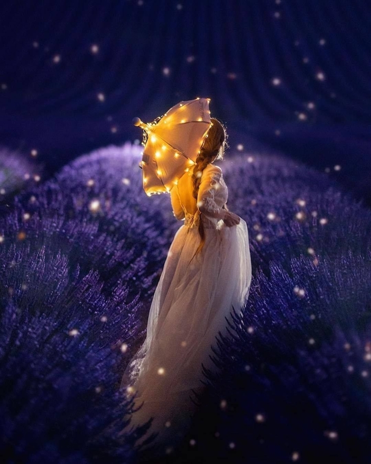 Волшебная ночь