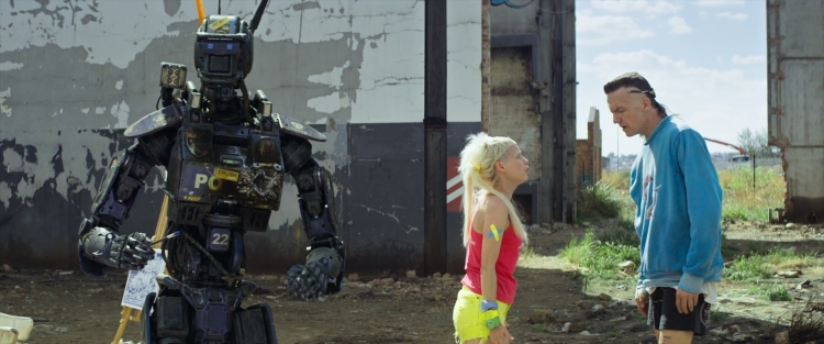 Роберт Чаппи