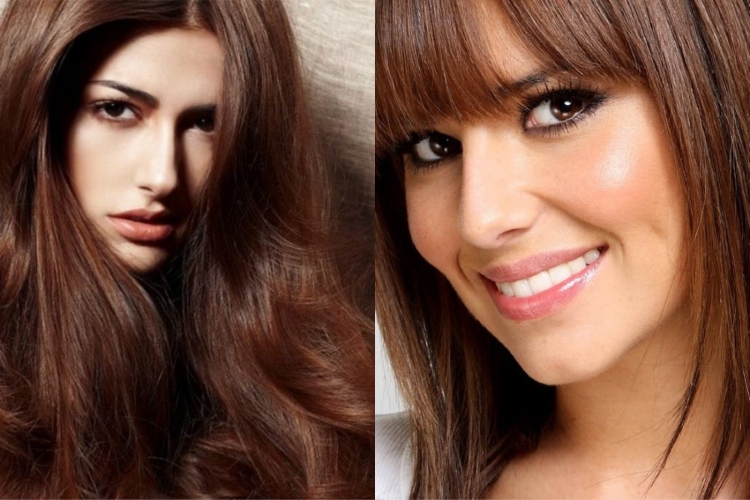 Шоколадный цвет