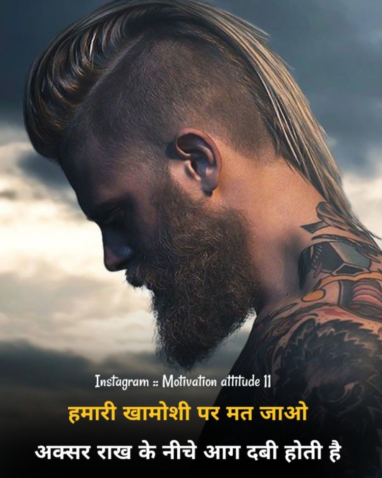 Лонг андеркат Викинг