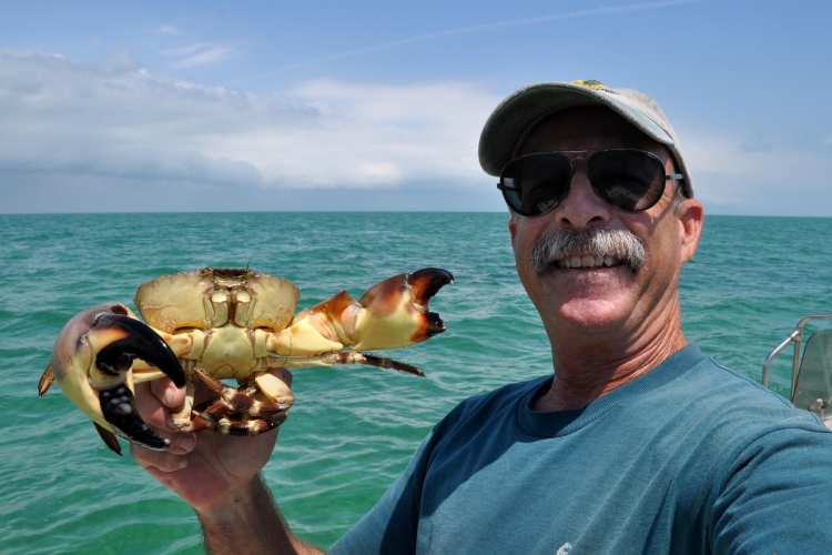 Королева крабов фильм 2015