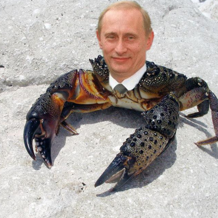 Краб на галерах