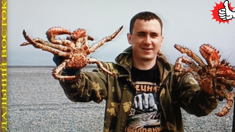 Крабы в море Израиля