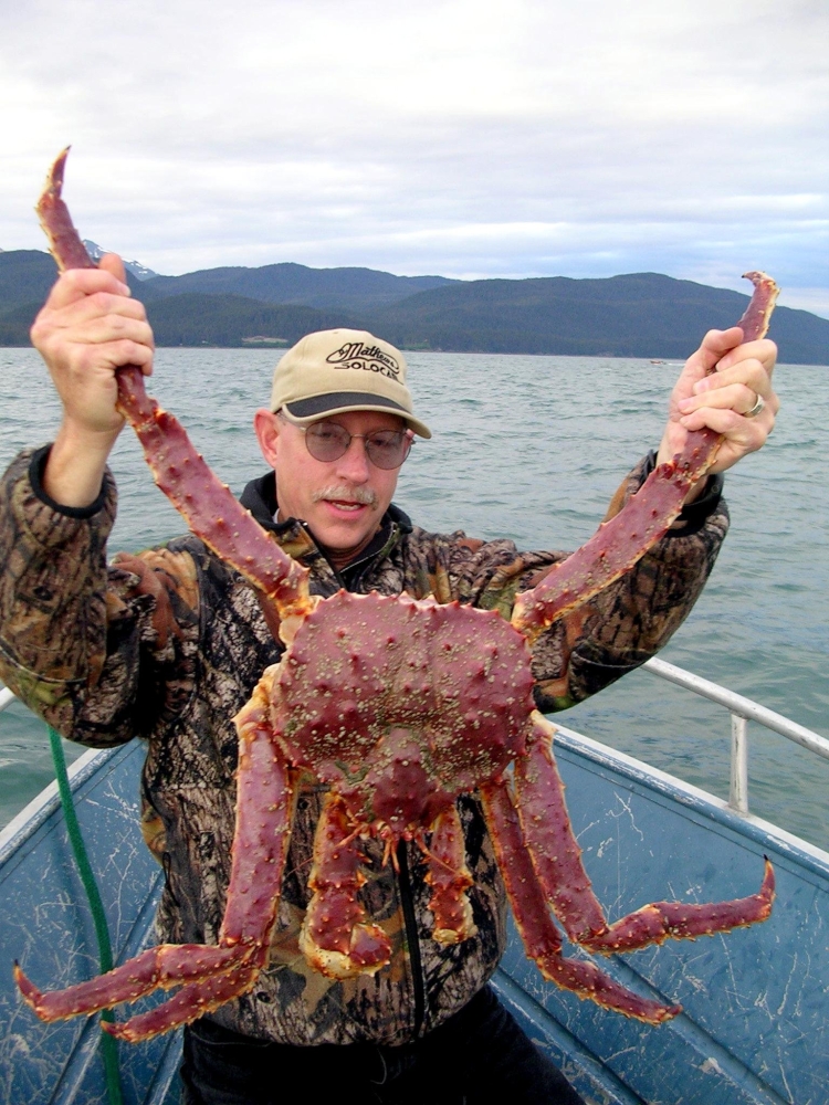 Тасманийский Королевский краб