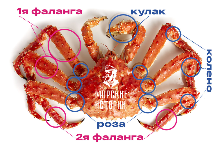 Камчатский краб роза 1 фаланга