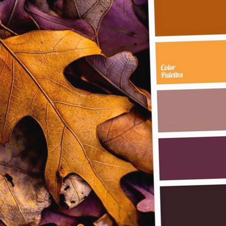 Осенние сочетания цветов