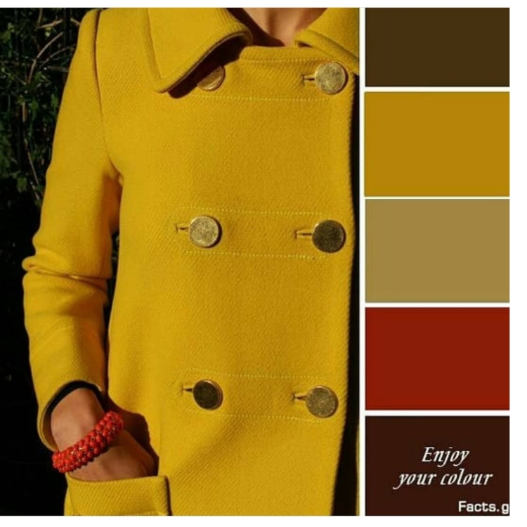 Сочетание цветов горчичный