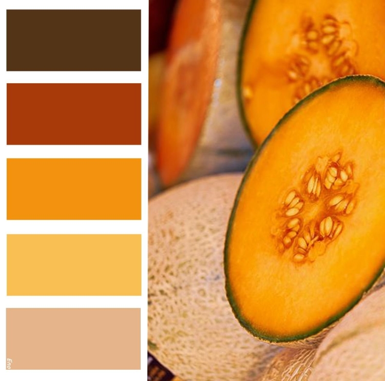 Охра сочетание цветов