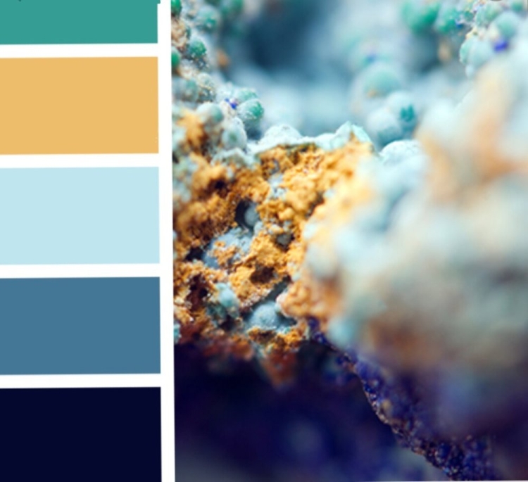 Бирюза сочетание цветов зимние