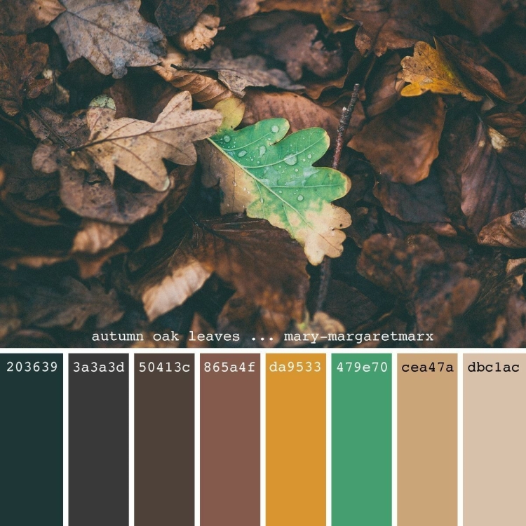 Палитра натуральных цветов