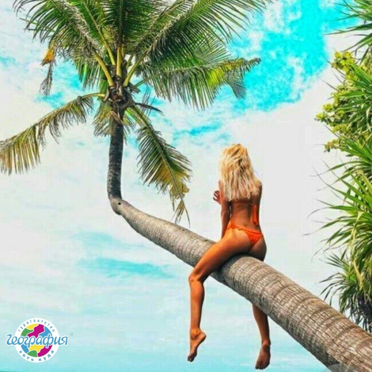 Море пальмы девушка
