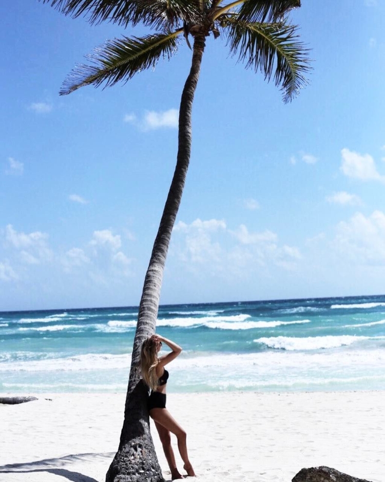 Фотосессия с пальмами