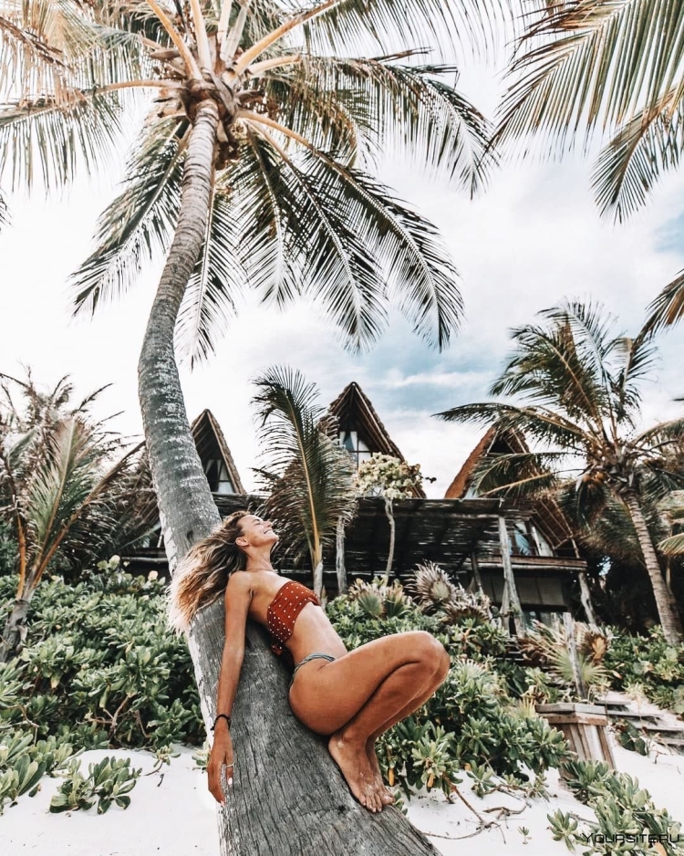 Фотосессия с пальмами