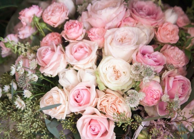 Цветы пионовидные розы