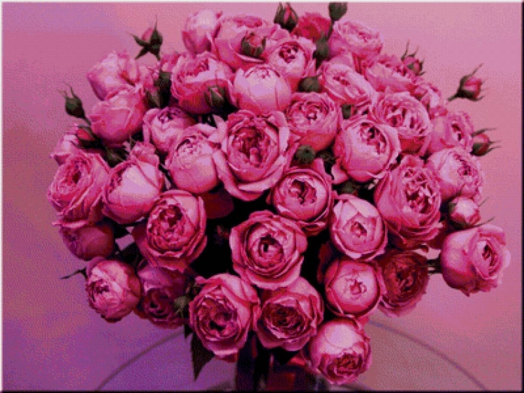 Пионорозы букет