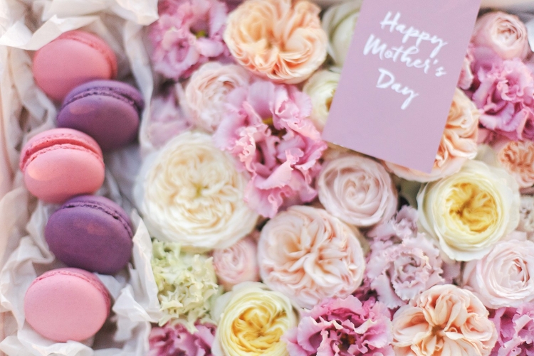 Дарлингтон Darlington роза