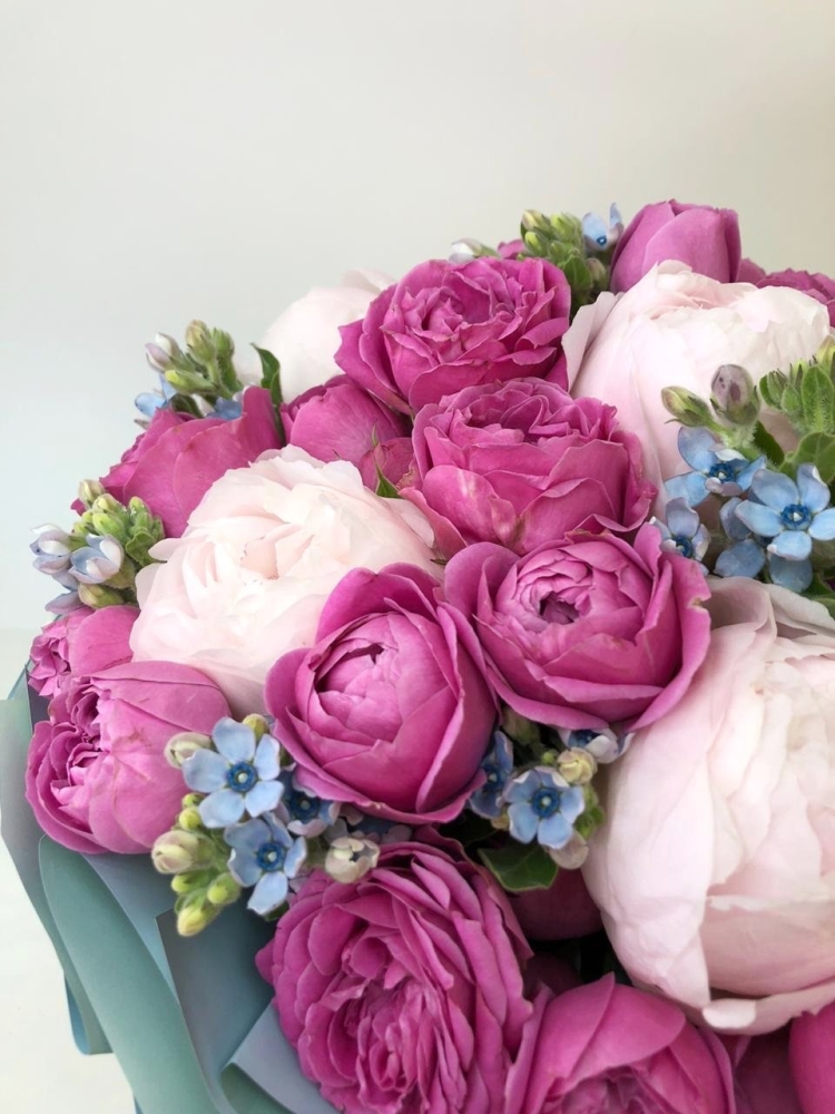 Пионы и пионовидные розы